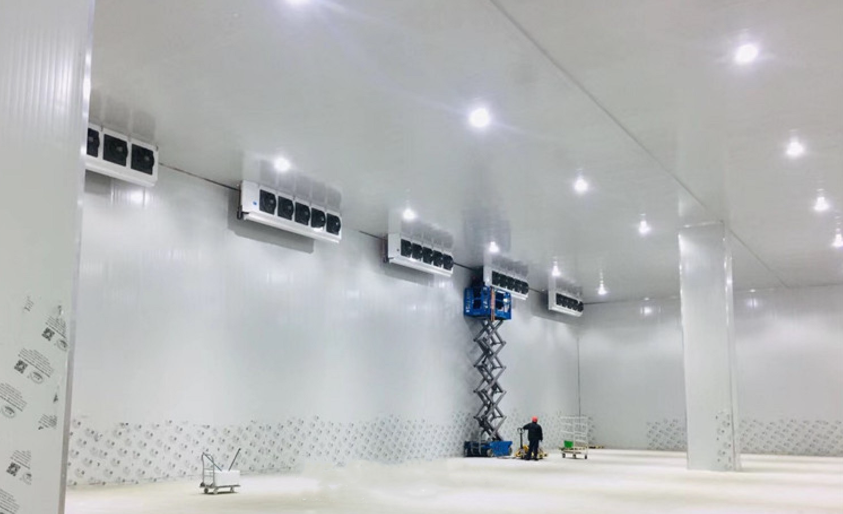 大型冷库氨制冷系统的建设和运营成本是多少？